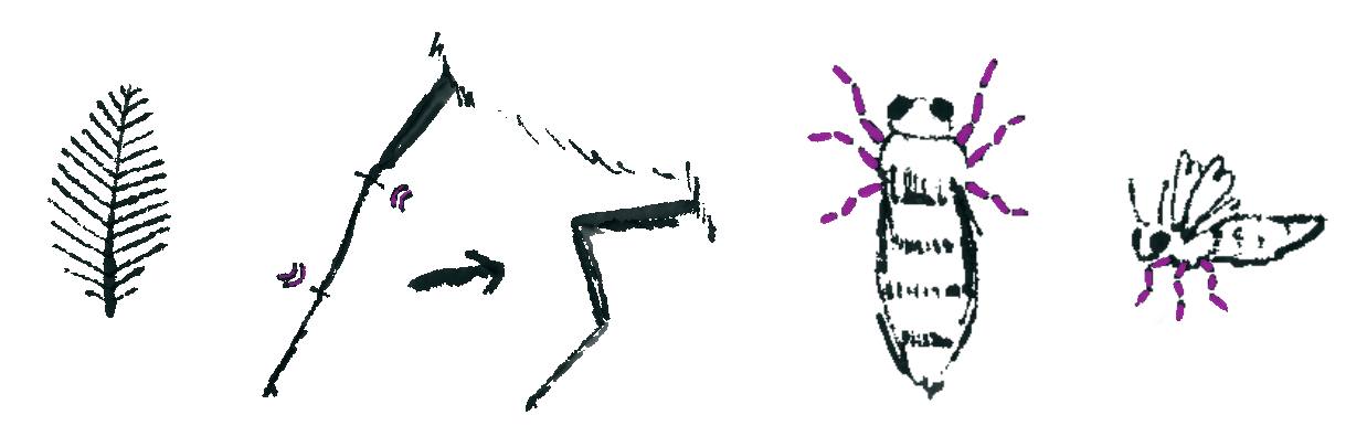 Care diagrams — antenna, leg bending, handling
