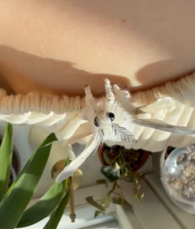Ear cuff mounting