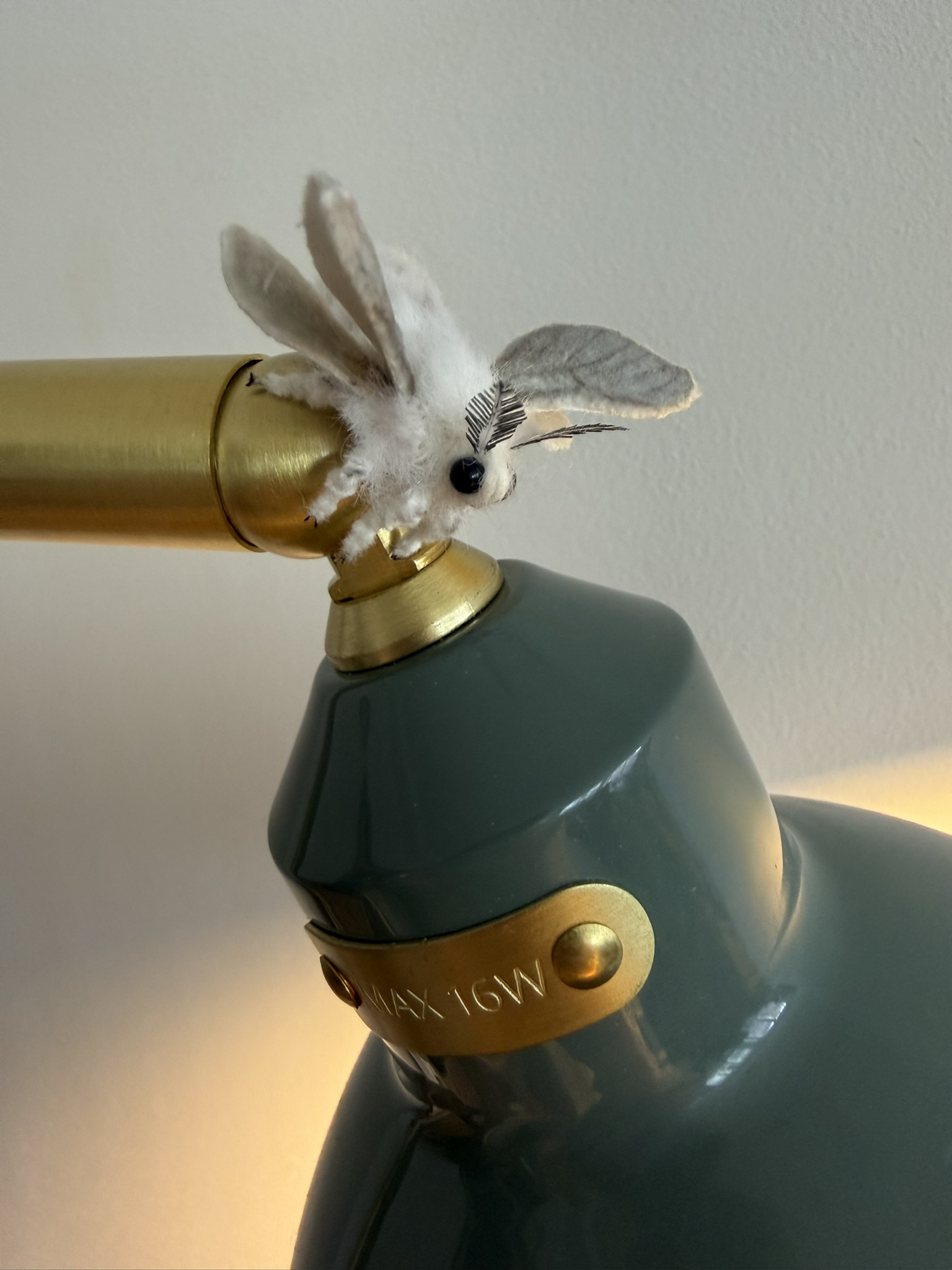 Magnet mounting system