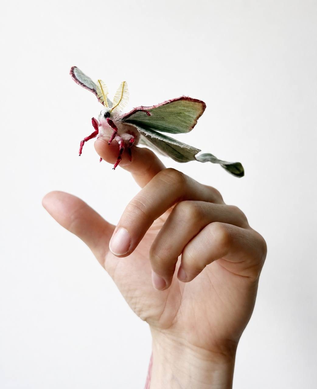 Handmade fibre Luna moth sculpture perched on a fingertip